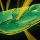 Illustration for article titled What's the Healthiest Food?